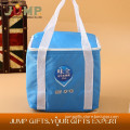 cheapest selling cooler bags,custom eco-friendly ice bag to carry